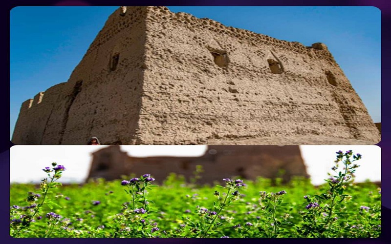 گام‌های محکم برای آبادانی روستاهای بخش بزرگ پسکوه