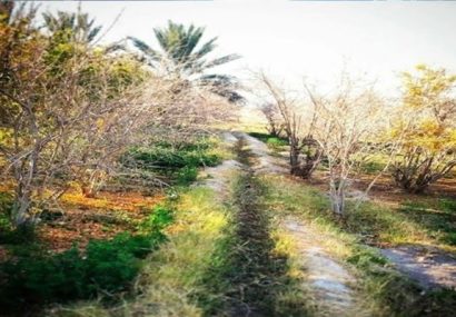 مدیریت منابع طبیعی و احیای محیط زیست