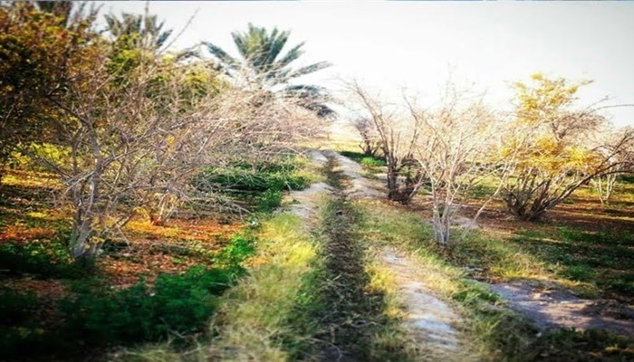 مدیریت منابع طبیعی و احیای محیط زیست مدیریت منابع طبیعی و احیای محیط زیست