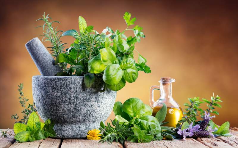 گیاهان دارویی سراوان، طلای سبز شرق ایران