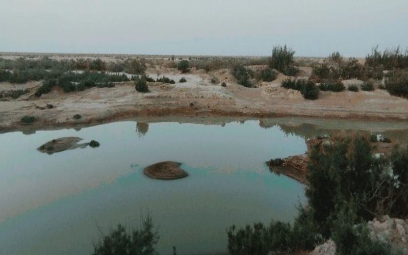 «لورگ باغ»، نگینی پنهان در دل طبیعت سیستان